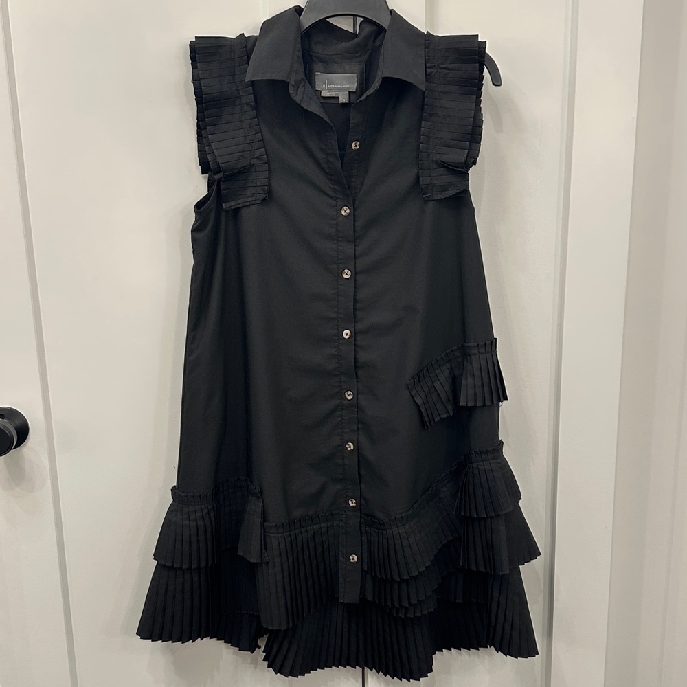 Anthropologie Button-Front Pleated Shirtdress (Size Small)